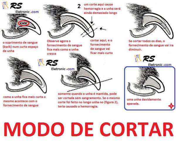 Modo de cortar a unha