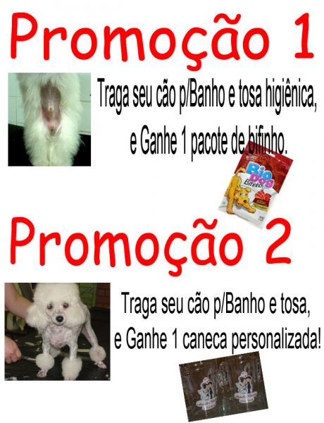 Promoção